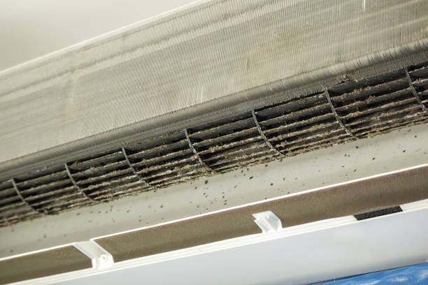 Ductwork Cleaning Services in Inverness Highlands South, FL